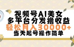 视频号AI美女,轻松月入30000+,操作简单轻松上手-蓝图副业