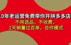 拼多多 最新合作开店日收4000+两天销量过百单,无学费、老运营代操作、...-蓝图副业