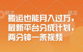 搬运也能月入过万，最新平台分成计划，一万播放一百米，一分钟一个作品-蓝图副业