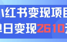利用小红书卖资料单日引流150人当日变现2610元小白可实操（教程+资料）-蓝图副业
