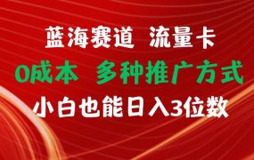蓝海赛道 流量卡 0成本 小白也能日入三位数-蓝图副业