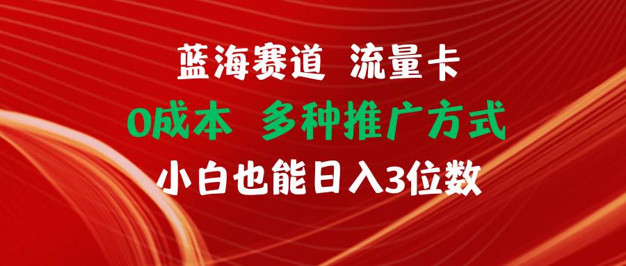 蓝海赛道 流量卡 0成本 小白也能日入三位数-蓝图副业