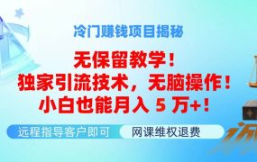 冷门赚钱项目无保留教学!独家引流技术,无脑操作!小白也能月入5万+!-蓝图副业