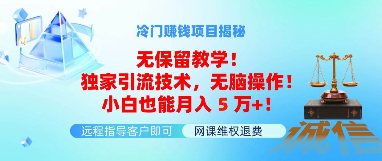 冷门赚钱项目无保留教学！独家引流技术，无脑操作！小白也能月入5万+！-蓝图副业