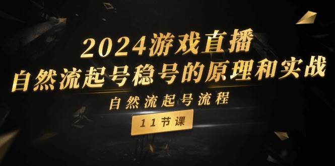 2024游戏直播-自然流起号稳号的原理和实战，自然流起号流程（11节）-蓝图副业