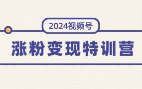 2024视频号-涨粉变现特训营：一站式打造稳定视频号涨粉变现模式（10节）-蓝图副业