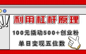 利用杠杆100元撬动500+创业粉,单日变现5位数-蓝图副业