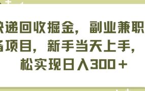 快递回收掘金，副业兼职必备项目，新手当天上手，轻松实现日入300＋-蓝图副业
