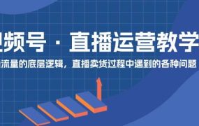 视频号 直播运营教学：直播流量的底层逻辑，直播卖货过程中遇到的各种问题-蓝图副业