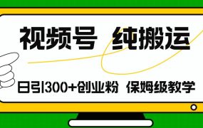视频号纯搬运日引流300+创业粉,日入4000+-蓝图副业