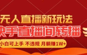 快手直播间转播玩法简单躺赚,真正的全无人直播,小白轻松上手月入1W+-蓝图副业