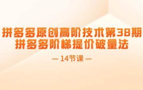 拼多多原创高阶技术第38期,拼多多阶梯提价破量法(14节课)-蓝图副业