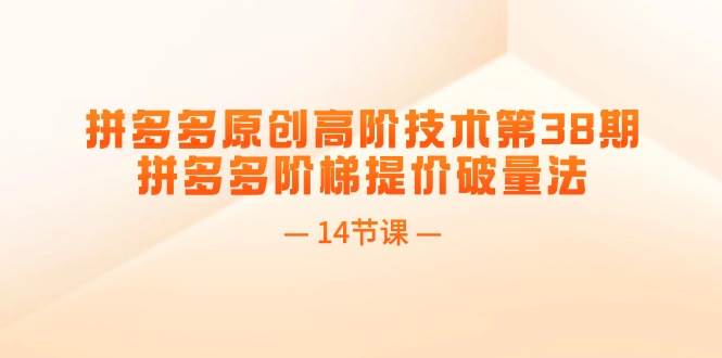 拼多多原创高阶技术第38期，拼多多阶梯提价破量法（14节课）-蓝图副业