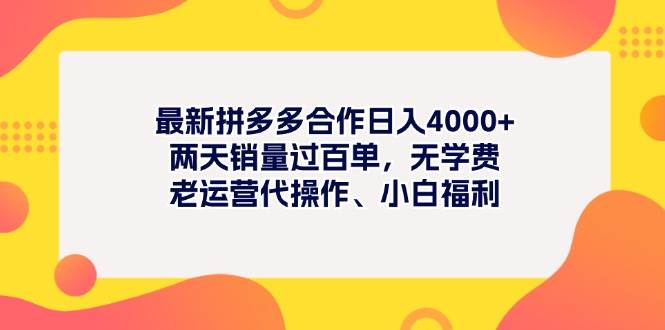 最新拼多多项目日入4000+两天销量过百单，无学费、老运营代操作、小白福利-蓝图副业