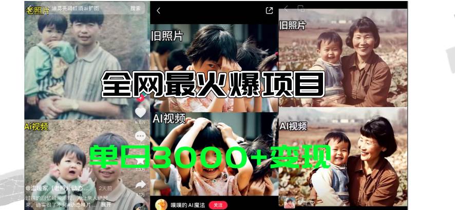 全网爆火的AI让老照片动起来教程，蹭热点日赚3000+，内含免费工具一键…-蓝图副业