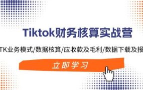 Tiktok财务核算实战营:TK业务模式/数据核算/应收款及毛利/数据下载及报表-蓝图副业