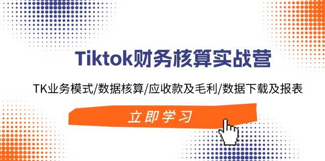 Tiktok财务核算实战营：TK业务模式/数据核算/应收款及毛利/数据下载及报表-蓝图副业