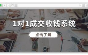 1对1成交 收钱系统,十年专注于引流和成交,全网130万+粉丝-蓝图副业