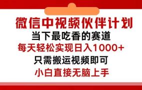 微信中视频伙伴计划，仅靠搬运就能轻松实现日入500+，关键操作还简单，...-蓝图副业