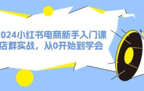 2024小红书电商新手入门课，店群实战，从0开始到学会（31节）-蓝图副业