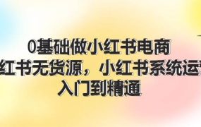 0基础做小红书电商，小红书无货源，小红书系统运营，入门到精通 (70节)-蓝图副业