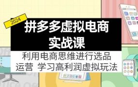 拼多多虚拟电商实战课:虚拟资源选品+运营,高利润虚拟玩法(更新14节)-蓝图副业