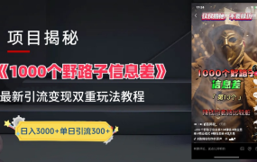 抖音一千个野路子信息差最新玩法教程-变现+引流的玩法具体拆解-蓝图副业