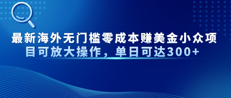 最新海外无门槛美金小众项目可放大操作，单日可达300+-蓝图副业
