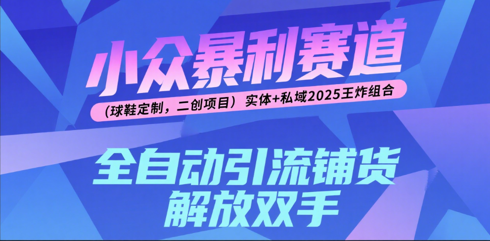 楠—小众暴利赛道（球鞋定制，二创项目）实体+私域2025王炸组合-蓝图副业