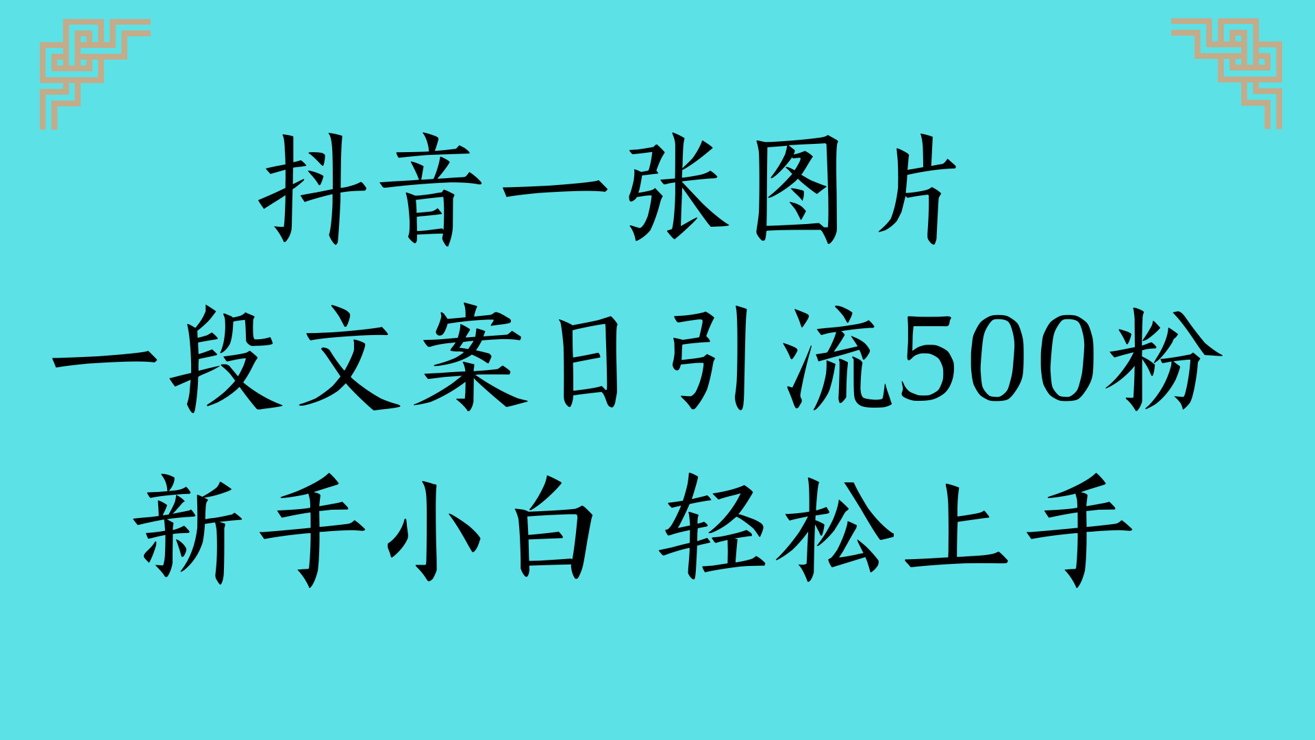 抖音一张图片 一段文案日引流500粉新手小白 轻松上手-蓝图副业