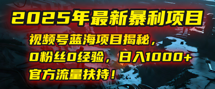 2025年最新暴利项目：视频号蓝海项目揭秘，0粉丝0经验，日入1000+，官方流量扶持！-蓝图副业