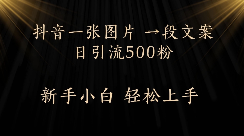 抖音一张图片，一段文案日引流500粉，新手小白 轻松上手-蓝图副业