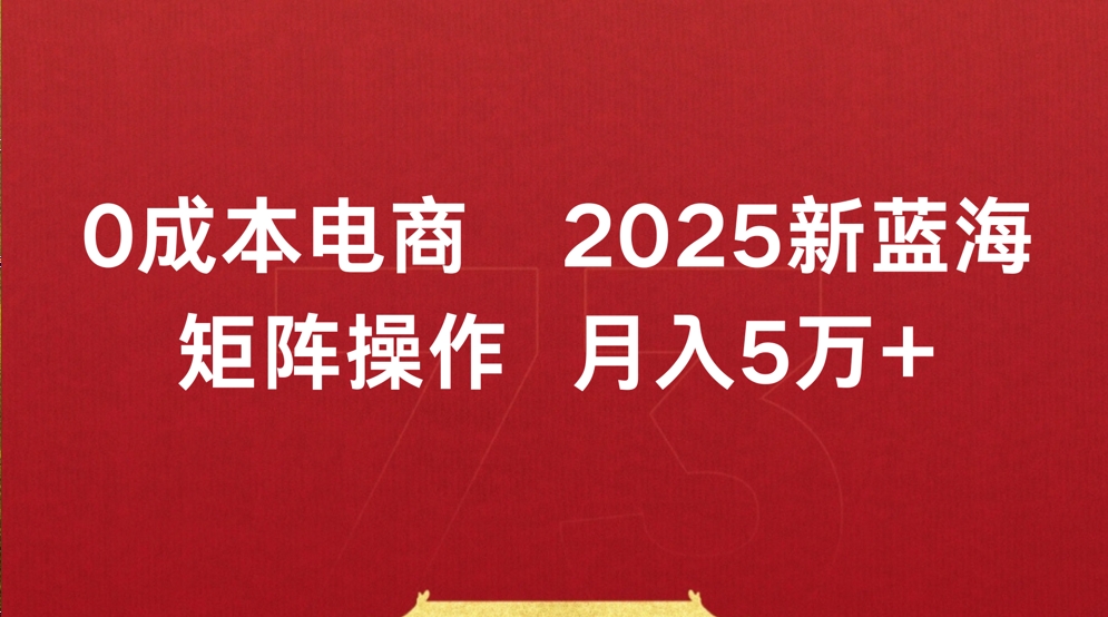 0成本电商2025新蓝海矩阵操作 月入5万+-蓝图副业