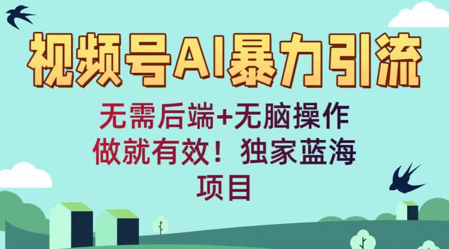 视频号AI暴力引流：无需后端+无脑操作，做就有效！独家蓝海项目-蓝图副业