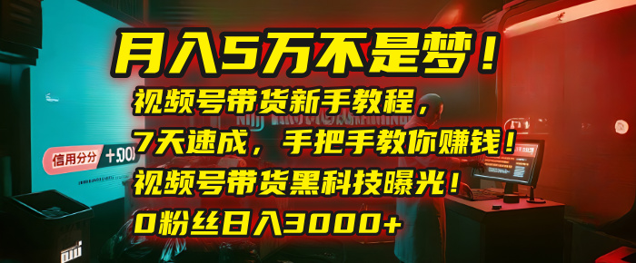 月入5万不是梦！视频号带货新手教程，7天速成，手把手教你赚钱！视频号带货黑科技曝光！0粉丝日入3000+-蓝图副业