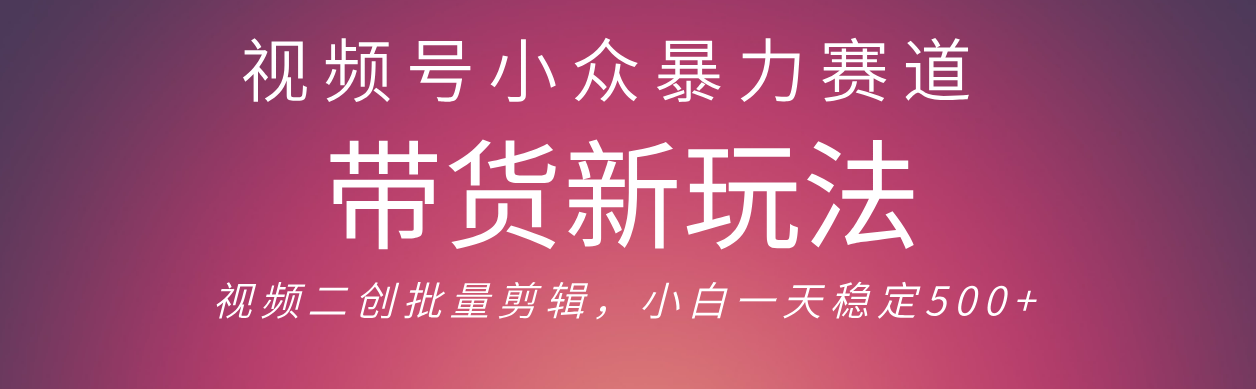 视频号小众暴力赛道，最新带货玩法 小白也能轻松日入500+ 保姆及教程-蓝图副业