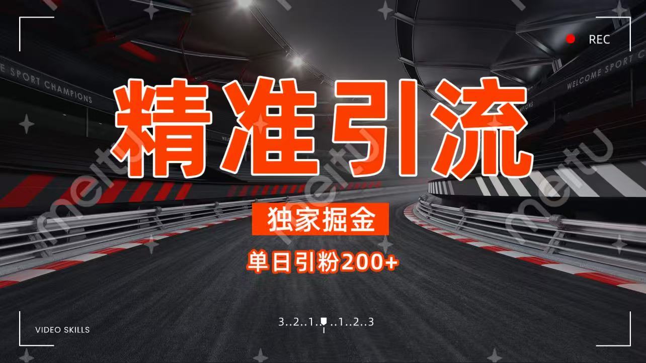 独家野路子精准引流 每日200+-蓝图副业