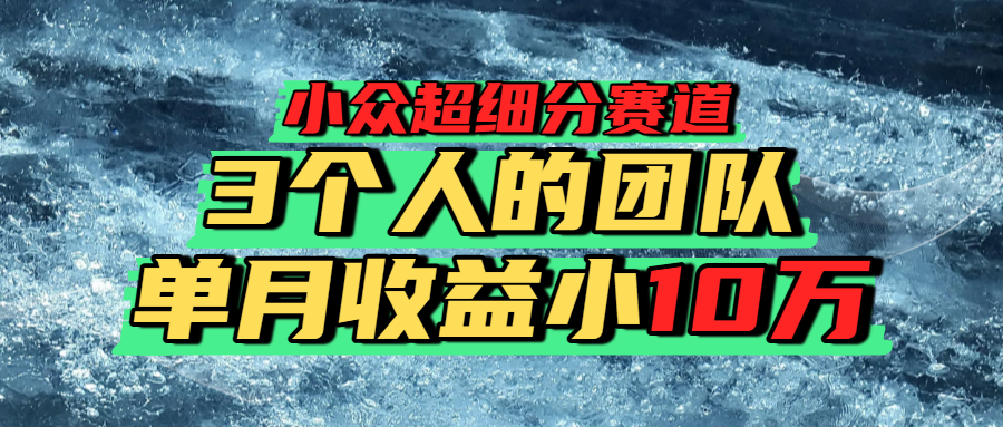 小众超细分赛道，一年百万利润的盘子！-蓝图副业