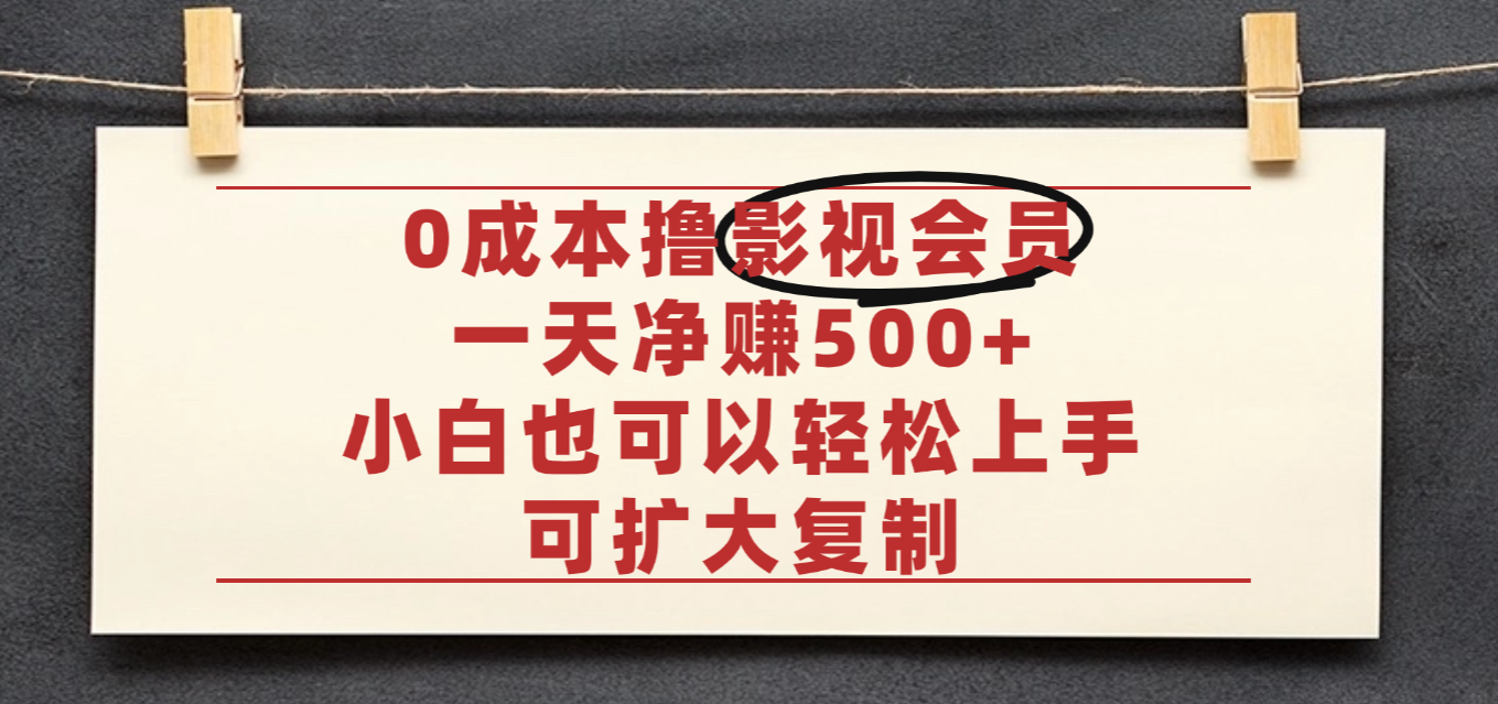亲测,0成本可批量操作,靠卖影视会员实测月入30000+-蓝图副业