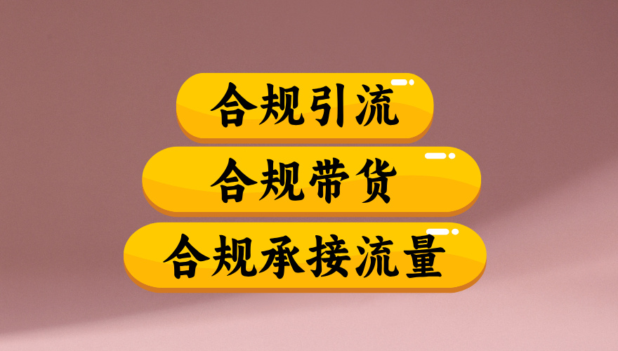 合规引流、合规并且高效地做带货、合规承接流量（揭秘）-蓝图副业